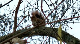 20260219_102743.jpg 20260219_102743.jpg