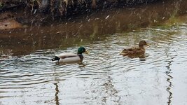 20260219_102111.jpg 20260219_102111.jpg