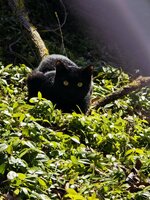 20260220_120059.jpg 20260220_120059.jpg