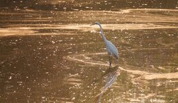 DSC01460.JPG DSC01460.JPG