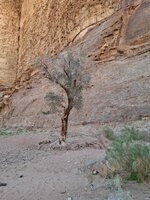 20260218_123609.jpg 20260218_123609.jpg