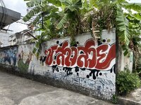 IMG_7251.jpeg