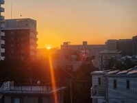 IMG-20260221-WA0052.jpg IMG-20260221-WA0052.jpg