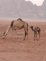 20260219_071405.jpg 20260219_071405.jpg