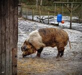 IMG_20260221_143948.jpg IMG_20260221_143948.jpg