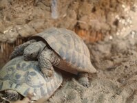 IMG_20260221_145641.jpg IMG_20260221_145641.jpg