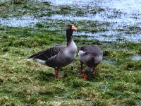 20260220_095611.jpg 20260220_095611.jpg