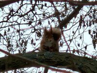 20260219_102752.jpg 20260219_102752.jpg