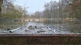 20260219_101943.jpg