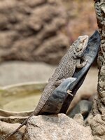 IMG_20260221_145110.jpg IMG_20260221_145110.jpg