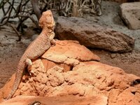 IMG_20260222_004240.jpg IMG_20260222_004240.jpg