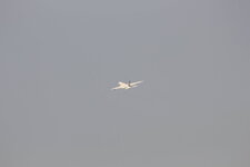 Duitsland-Frankfurt ''Flughafen-Lufthansa Airbus A380'' (28).JPG