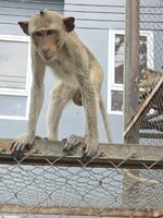 20251212_114835.jpg 20251212_114835.jpg