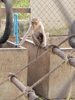 20251212_114544.jpg 20251212_114544.jpg