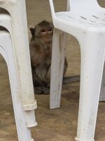 20251212_113253.jpg 20251212_113253.jpg