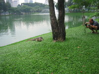 IMG_2397.JPG IMG_2397.JPG