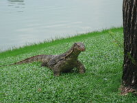 IMG_2399.JPG IMG_2399.JPG