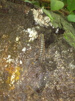 Bild 104.jpg Bild 104.jpg