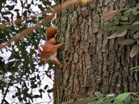 20260219_102702.jpg 20260219_102702.jpg