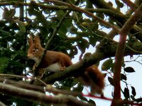 20260219_102802.jpg 20260219_102802.jpg