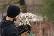 DSC09177.jpg DSC09177.jpg