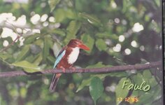 50610716ge.jpg 50610716ge.jpg