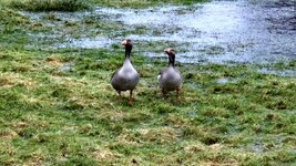 20260220_095641.jpg 20260220_095641.jpg