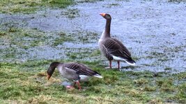 20260220_095751.jpg 20260220_095751.jpg