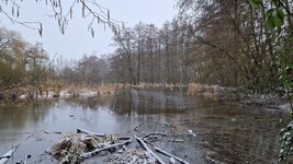 20260219_102004.jpg