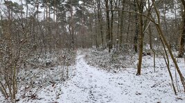 20260219_094154.jpg