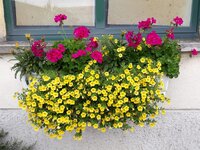 IMG-20250822-WA0051.jpg