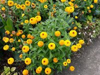 IMG-20250822-WA0054.jpg