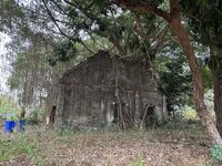 IMG_7297.jpeg