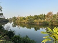 IMG_7331.jpeg IMG_7331.jpeg