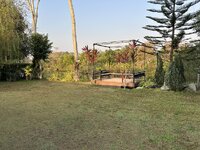 IMG_7330.jpeg IMG_7330.jpeg