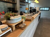 IMG_7343.jpeg IMG_7343.jpeg