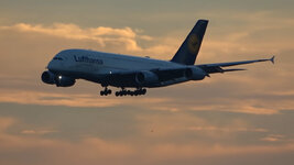 Duitsland-Frankfurt ''Flughafen-Lufthansa Airbus A380'' (64).jpg
