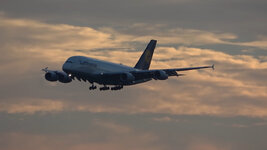 Duitsland-Frankfurt ''Flughafen-Lufthansa Airbus A380'' (66).jpg