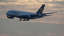 Duitsland-Frankfurt ''Flughafen-Lufthansa Airbus A380'' (68).jpg