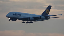 Duitsland-Frankfurt ''Flughafen-Lufthansa Airbus A380'' (69).jpg