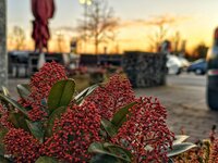 IMG_20260225_185110.jpg