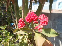 DSCN6706.JPG