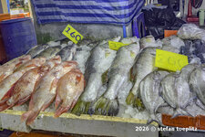 220-Bangrak-Fischmarkt-2026-0226-04.jpg
