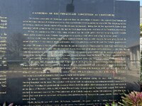 IMG_7410.jpeg
