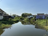 IMG_7429.jpeg
