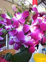 IMG_20251229_104131_060.jpg