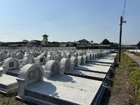 IMG_7435.jpeg