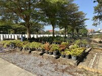 IMG_7433.jpeg