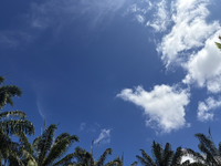 Bildschirmfoto 2026-02-28 um 11.15.32.png