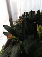 IMG_20260225_101256_035.jpg